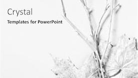  Presentation with maple leaves - Presentation enhanced with nordic-style-still-life background and a white colored foreground