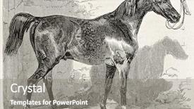  Presentation with journal - PPT theme having normans - norman horse in 1852 old background and a gray colored foreground