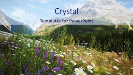  Presentation with rocky mountains - Slides enhanced with north america - field of daisies and wild background and a sky blue colored foreground