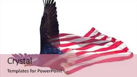  Presentation with effect - Theme consisting of north american bald eagle background and a coral colored foreground