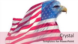  Presentation with eagle - Amazing PPT layouts having north american bald eagle backdrop and a coral colored foreground