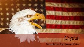  Presentation with eagle - Amazing presentation design having north american bald eagle backdrop and a tawny brown colored foreground