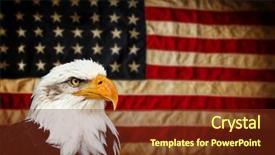  Presentation with bald - Audience pleasing theme consisting of north american bald eagle backdrop and a tawny brown colored foreground