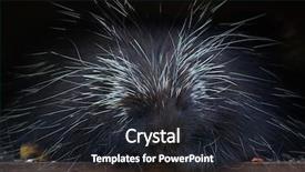  Presentation with canadian - Amazing slide deck having canada usa mexico - north american porcupine erethizon dorsatum backdrop and a dark gray colored foreground