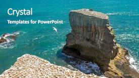  Presentation with new zealand - Slide set with north island in auckland background and a teal colored foreground