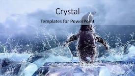  Presentation with water drops - Beautiful presentation featuring north pole - penguin on the ice backdrop and a light blue colored foreground