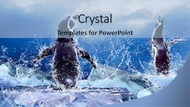  Presentation with north pole - Beautiful PPT layouts featuring north pole - penguin on the ice backdrop and a light blue colored foreground