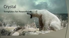  Presentation with north pole - Presentation theme with north pole - white polar bear hunter background and a mint green colored foreground