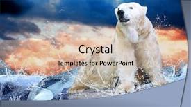  Presentation with water drops - Cool new PPT layouts with north pole - white polar bear hunter backdrop and a lemonade colored foreground