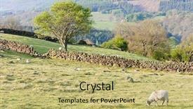  Presentation with national - Amazing PPT layouts having north york moors national park backdrop and a yellow colored foreground