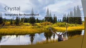  Presentation with canadian - Beautiful slide set featuring northern-cordillera-canadian-rockies-deer backdrop and a light blue colored foreground