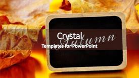  Presentation with autumn leaves - Slide set featuring northern hemisphere - pile of dried leaves background and a wine colored foreground