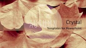  Presentation with autumn leaves - Beautiful PPT layouts featuring northern hemisphere - pile of dried leaves backdrop and a coral colored foreground
