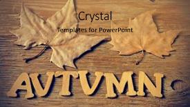  Presentation with barn wood autumn apples - Beautiful PPT theme featuring northern hemisphere - wooden letters forming the word backdrop and a  colored foreground