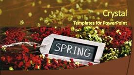  Presentation with cyber sex word written - Slide set featuring northern hemisphere - word spring written background and a  colored foreground