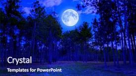  Presentation with pine forest - Audience pleasing slide deck consisting of northern lights - pine forest at midnight backdrop and a navy blue colored foreground