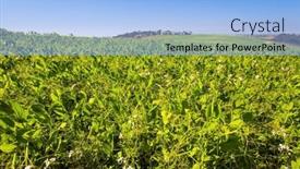  Presentation with lens - Slides enhanced with northern-negev-photo-taken background and a light blue colored foreground