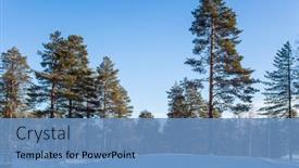  Presentation with animals winter - Audience pleasing theme consisting of northernmost-zoo-in-the-world backdrop and a teal colored foreground