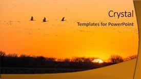  Presentation with migration - PPT layouts featuring northward sandhill crane migration background and a light gray colored foreground