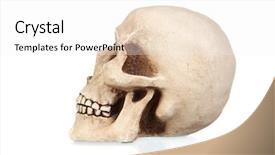  Presentation with creepy - PPT theme with nose anatomi - creepy skull isolated on white background and a white colored foreground