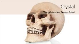  Presentation with creepy - Beautiful PPT theme featuring nose anatomi - creepy skull isolated on white backdrop and a lemonade colored foreground