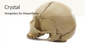  Presentation with cranium - Colorful slide set enhanced with nose anatomi - homo sapience cranium isolated backdrop and a lemonade colored foreground