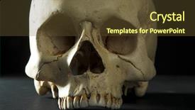  Presentation with cranium - Beautiful PPT theme featuring nose anatomi - homo sapience cranium isolated backdrop and a tawny brown colored foreground