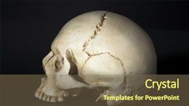  Presentation with cranium - Amazing presentation theme having nose anatomi - homo sapience cranium isolated backdrop and a violet colored foreground