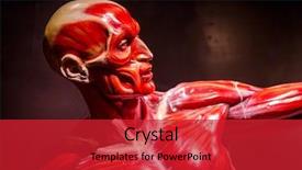  Presentation with nose - Beautiful slide deck featuring nose anatomi - human muscles anatomy model backdrop and a red colored foreground