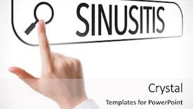  Presentation with search - PPT theme having nose anatomi - sinusitis written in search bar background and a white colored foreground