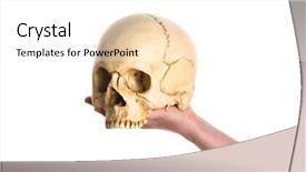  Presentation with skull - Audience pleasing presentation consisting of nose anatomi - skull on the hand isolated backdrop and a white colored foreground