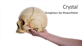  Presentation with skull - Slides having nose anatomi - skull on the hand isolated background and a white colored foreground