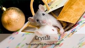  Presentation with camera - Theme featuring nosey - image of two mice looking background and a coral colored foreground