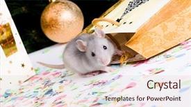  Presentation with camera - Audience pleasing slides consisting of nosey - photo of grey mouse looking backdrop and a lemonade colored foreground