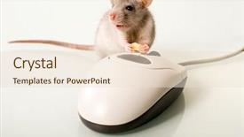  Presentation with painted by me nice - Cool new PPT theme with nosey - photo of nice mammal holding backdrop and a lemonade colored foreground