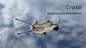  Presentation with nostalgia - Amazing slide deck having nostalgia autumn leaf on the water surface backdrop and a light blue colored foreground