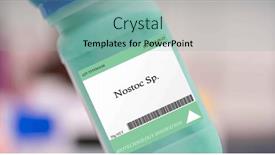  Presentation with microalgae - Presentation theme having nostoc-sp-microalgae-used background and a  colored foreground