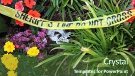  Presentation with sheriff - Amazing PPT theme having not cross warning tape murder backdrop and a tawny brown colored foreground