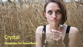  Presentation with old young - Beautiful theme featuring not love using old folk backdrop and a violet colored foreground