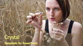  Presentation with old young - Slide set having not love using old folk background and a violet colored foreground