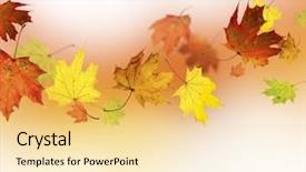  Presentation with fall - Colorful slides enhanced with note fall - autumn backdrop and a blonde colored foreground