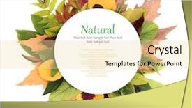  Presentation with fall leaves - Theme consisting of note fall - white plate with colorful leaves background and a blonde colored foreground