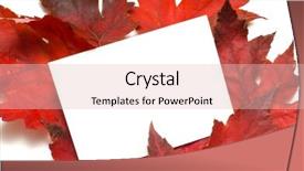  Presentation with fall leaves border autumn - Amazing PPT layouts having notecard surrouded with red fall backdrop and a  colored foreground