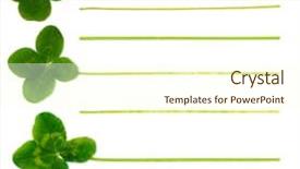  Presentation with cases - Colorful slide set enhanced with notepad page of four-leaf backdrop and a cream colored foreground