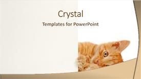  Presentation with notepaper - PPT theme featuring cute notepaper - banner in kitten's paws isolated background and a cream colored foreground