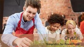  Presentation with italian food cooking tomatoes basil - Audience pleasing slide set consisting of nouvelle cuisine - cooking class friendship food backdrop and a  colored foreground