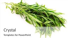  Presentation with fresh water splash green apple isolated white - Audience pleasing theme consisting of nouvelle cuisine - tarragon isolated on white backdrop and a  colored foreground