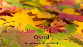  Presentation with november - Audience pleasing slides consisting of november - background with autumn colorful leaves backdrop and a gold colored foreground