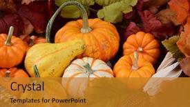  Presentation with november - Slide deck consisting of november - high angle view background and a gold colored foreground