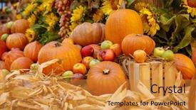  Presentation with november - PPT layouts enhanced with november - orange pumpkins on display background and a gold colored foreground